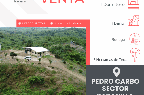 Se vende Hectareas en Pedro Carbo