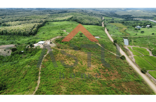 Se vende Hectareas en Pedro Carbo