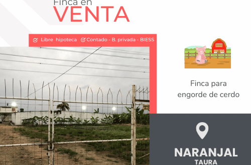 Se vende Finca en Naranjal